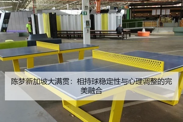 陈梦新加坡大满贯：相持球稳定性与心理调整的完美融合