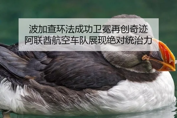 bo-jia-cha-huan-fa-cheng-gong-wei-mian-zai-chuang-qi-ji-a-lian-qiu-hang-kong-che-dui-zhan-xian-jue-dui-tong-zhi-li-2-101.jpg