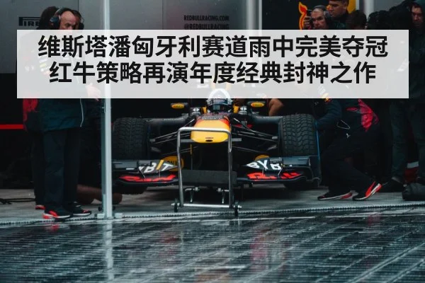 Max Verstappen Red Bull racing wet track