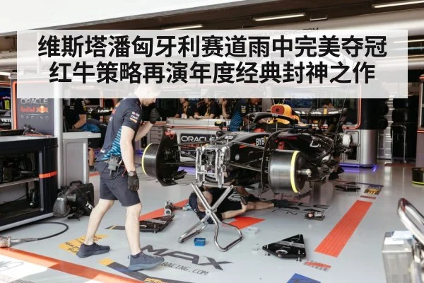 Red Bull team strategy pit stop