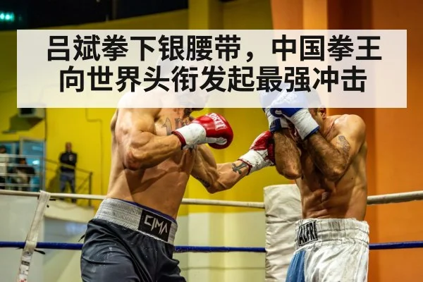 boxing ring fight action